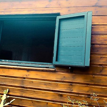 Tiny House Les Cactus - Bungalow St Gilles Les Hauts Saint-Paul Εξωτερικό φωτογραφία